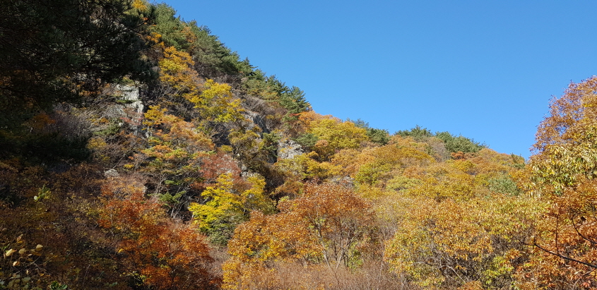 꾸미기_법성사 단풍.jpg