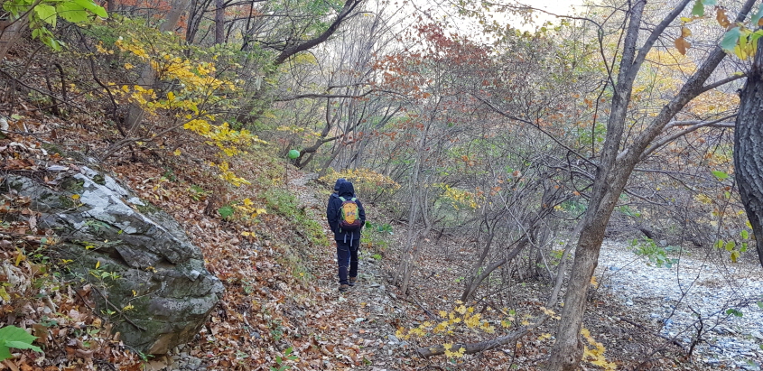 꾸미기_법성사 가는길.jpg