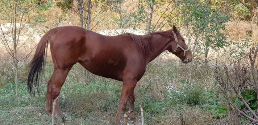 꾸미기_말사진 2.jpg