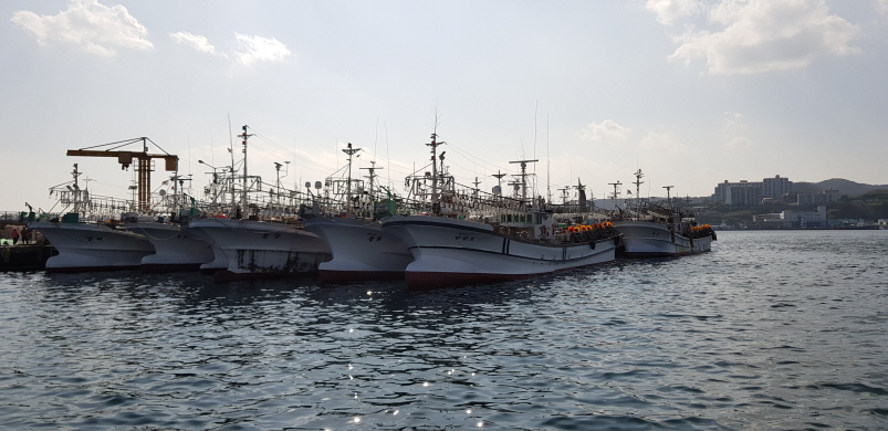 꾸미기_구룡포 배.jpg