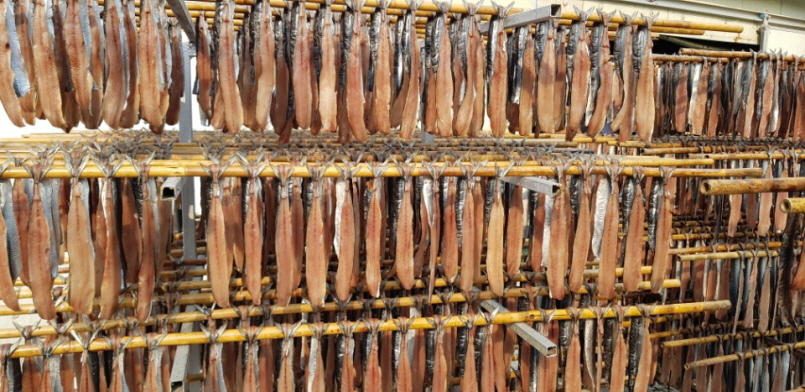 꾸미기_과메기 덕장.jpg