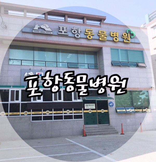 꾸미기_포항동물병원.jpg