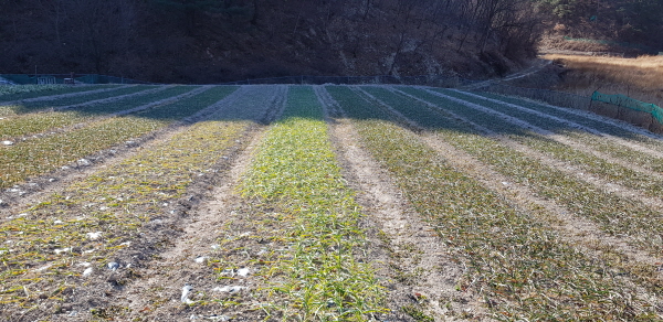 꾸미기_사본 -20180101_112041.jpg