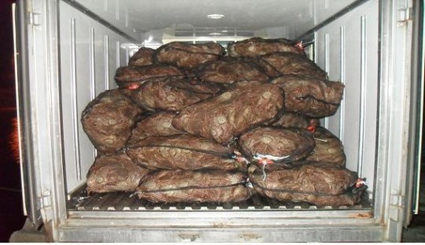 꾸미기_사본 -1톤 탑차에 실려있는 암컷대게.jpg