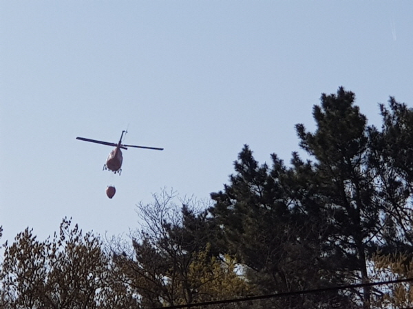 꾸미기_두호동 산불.jpg