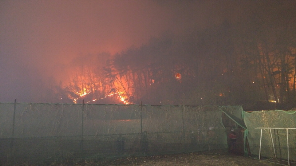 꾸미기_사본 -대송면 산불(04.03.22시30분경)1.jpg