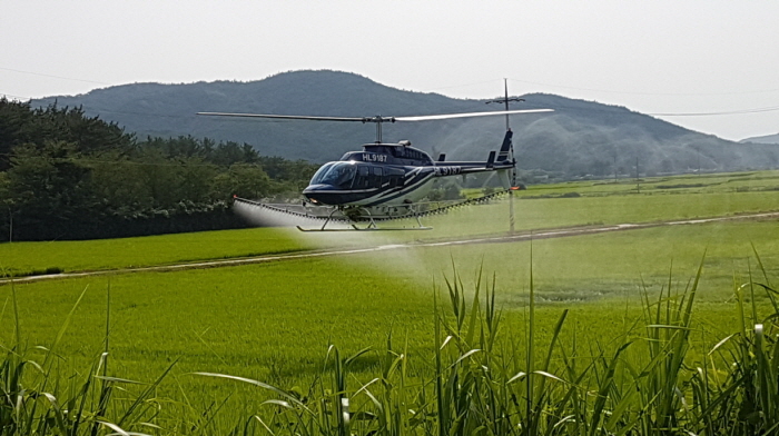 꾸미기_190730 벼 병해충 방제, 포항은 걱정없어요!.jpg