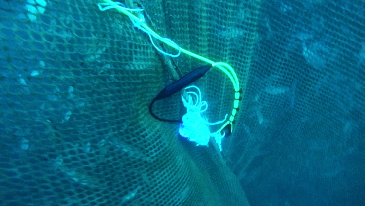 꾸미기_무선 수중 카메라 시스템(수중).jpg