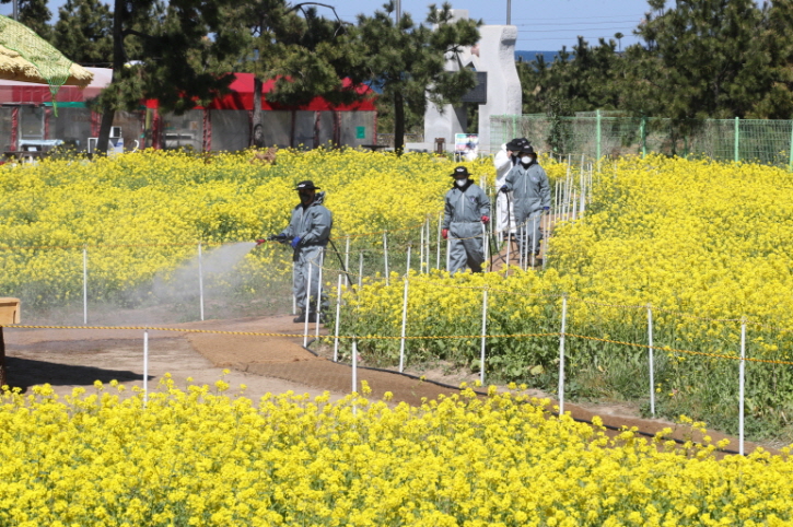 꾸미기_200314 포항시, 주요 관광지 방역 강화2.JPG