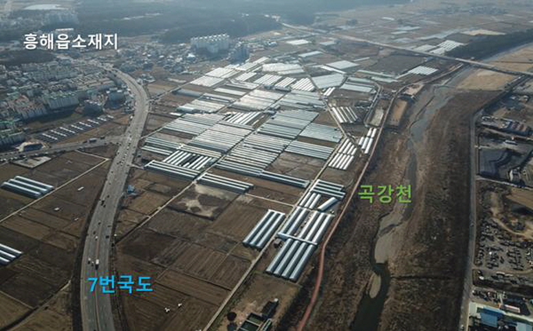 꾸미기_200330 포항시, 도내 최초 스마트원예단지 기반조성사업 선정!.jpg