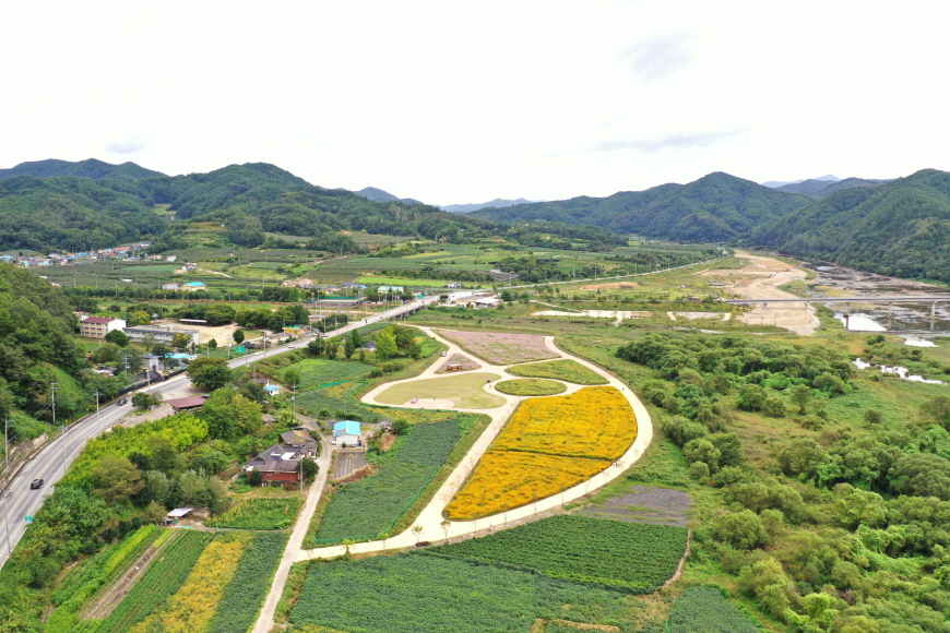 꾸미기_200508보도자료(산소카페 청송군, 전국 최대 규모 백일홍 단지 조성) (1).JPG