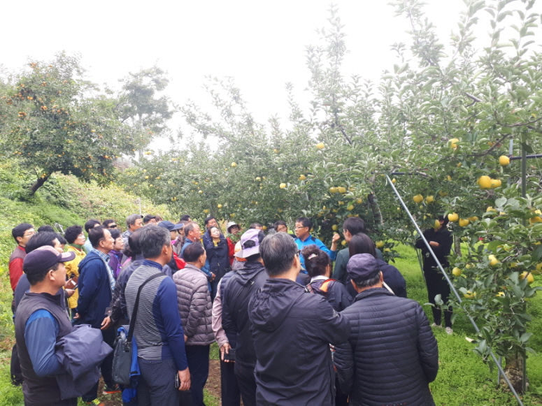 꾸미기_200519 포항시, 코로나19로 중단됐던 농업인교육 재개2.JPG