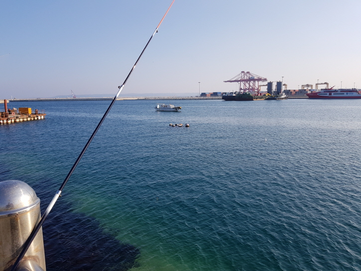 [꾸미기]선착장 낚시 자료사진.jpg