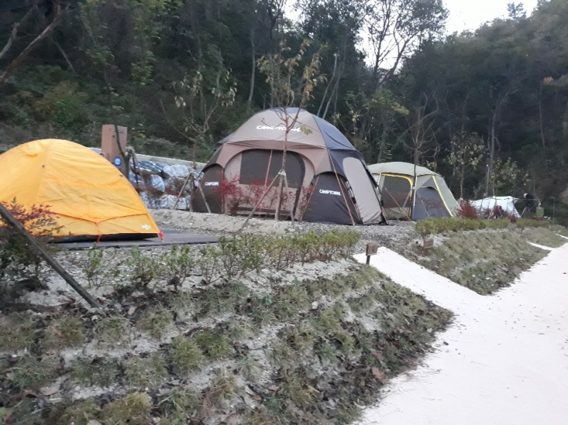 꾸미기_200601 포항시, 포항국민여가캠핑장 6월 1일부터 본격 개장(시범운영사진).jpg