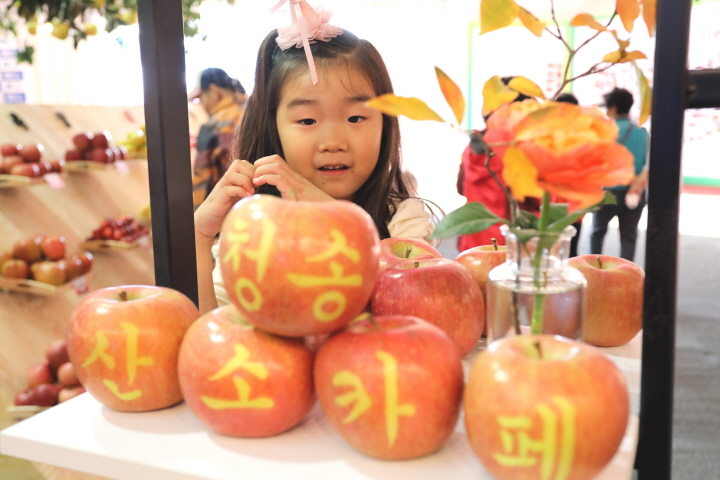 꾸미기_200826보도자료(청송군, 제16회 청송사과축제 전격 취소 결정-청송사과홍보관) 1.jpg