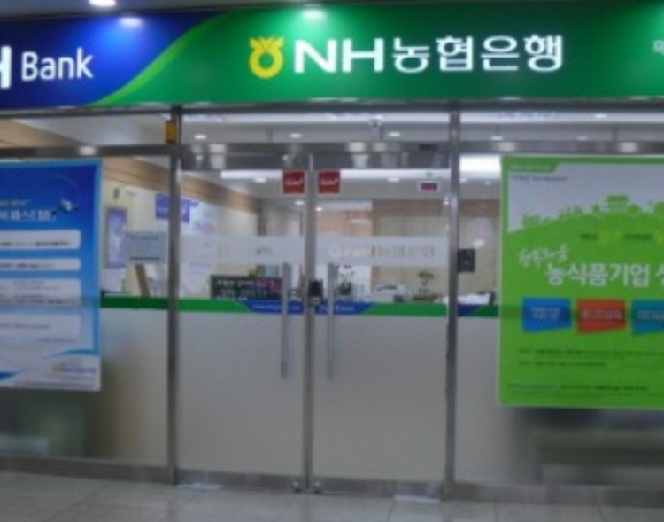 꾸미기_농축협 금융사고.jpg