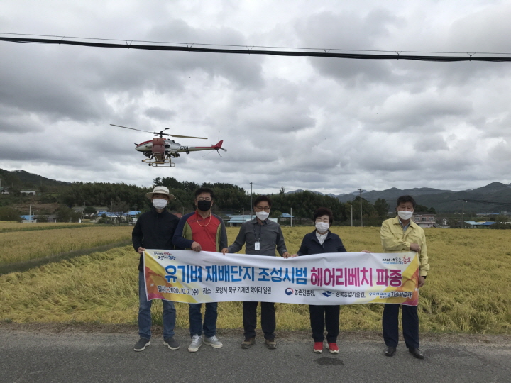 꾸미기_201007 포항시, 유기벼재배 재배단지 녹비작물 헤어리베치 파종.jpg