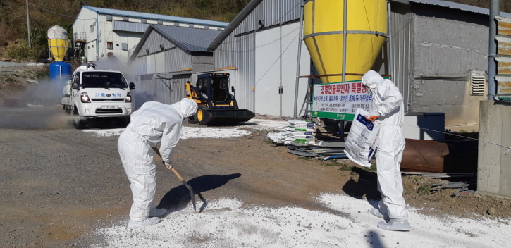 꾸미기_201130 포항시, 고병원성 조류인플루엔자(AI)발생에 따른 행정명령 공고1.jpg