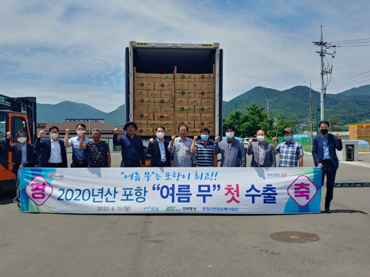 꾸미기_201109 포항시, 경북 최초로 ‘여름 무’ 예비수출단지 선정2.jpg