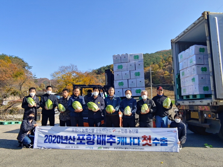 [꾸미기]201103 포항시, 가을배추 캐나다 수출1.JPG