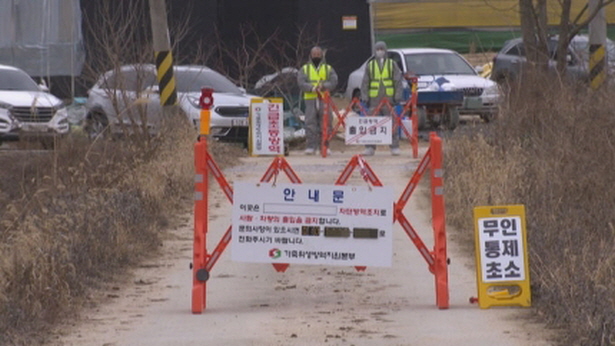 꾸미기_고병원성 AI 피해를 입은 영주시 장수면 종오리농장에 출입이 통제된 모습.jpg