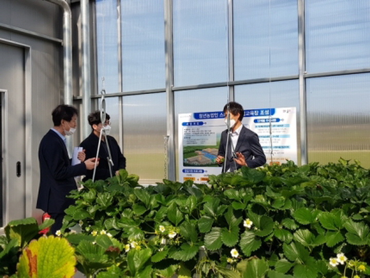 꾸미기_의성 이웃사촌시범마을의 스마트팜 모습.jpg