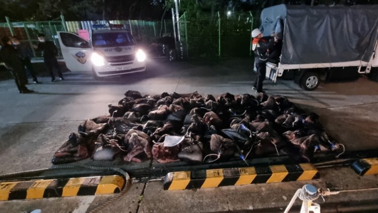 꾸미기_포항해경, 고래고기 64자루 운반한 어선 검거(압수된 고래고기 64자루 사진3).jpg