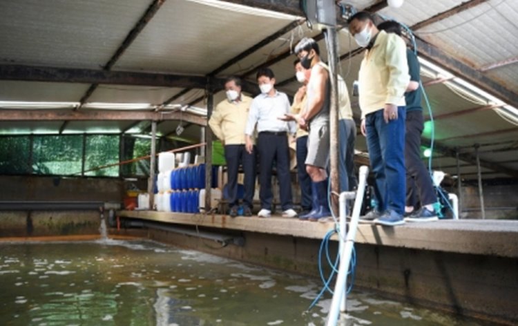 꾸미기_양식장 피해.jpg