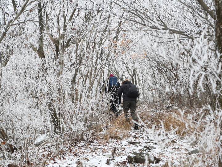 [꾸미기]4-3. 사진(영양군, 올 가을 일월산지 ‘첫 눈’ ).jpg
