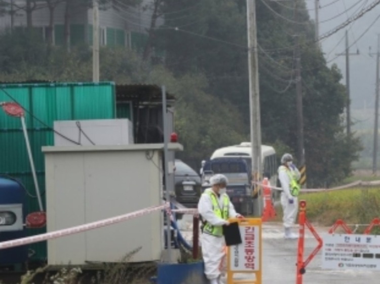 경북도 겨울철 방역.jpg