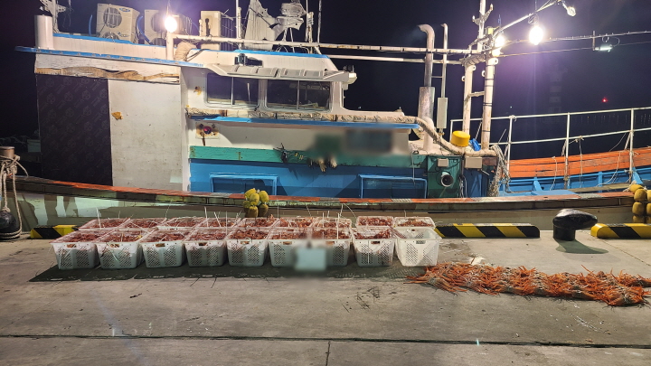 [꾸미기]포항해경, 금어기 대게 불법포획 사범 구속(불법포획 대게 사진2).jpg