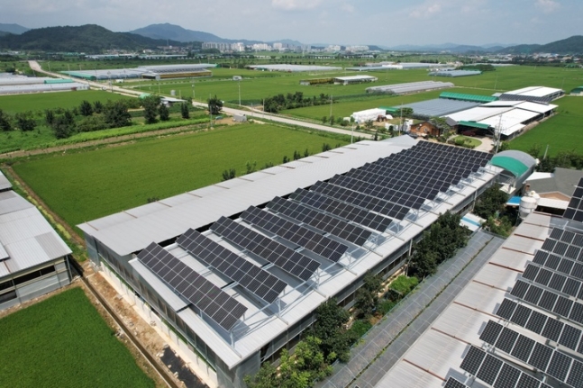 경북도 햇살에너지농사.jpg
