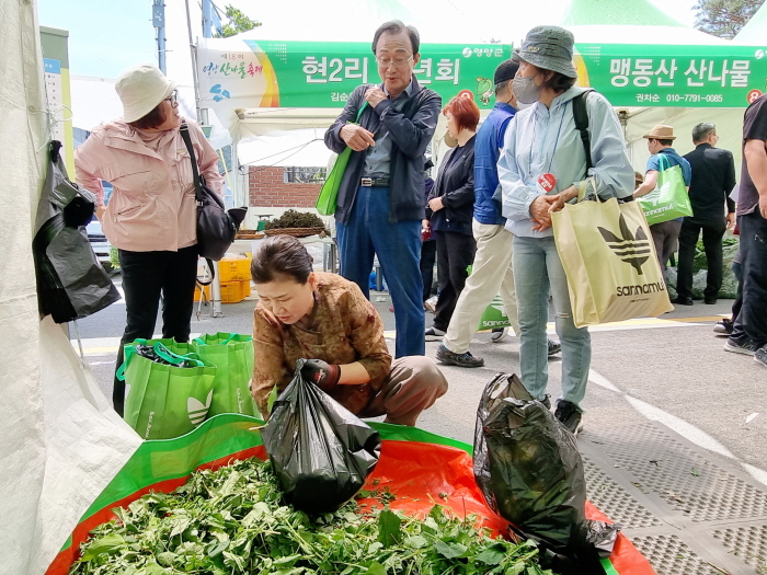 [꾸미기]제18회 영양산나물축제(1).jpg