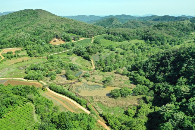 문경 돌리네습지.jpg