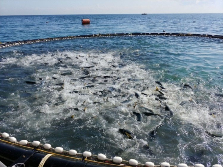 [꾸미기]경북도 고소득 어촌.jpg