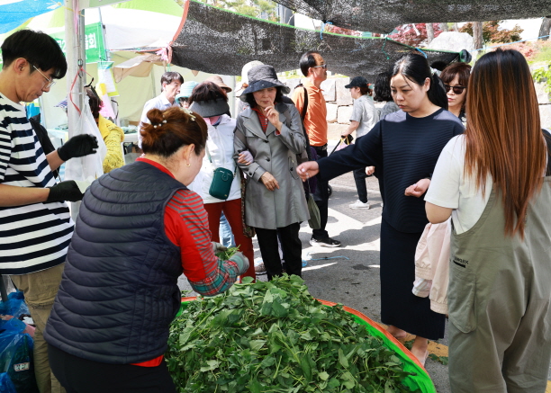 [꾸미기]1-2 사진(여러분의 방문이 영양군의 치유가 됩니다).jpg