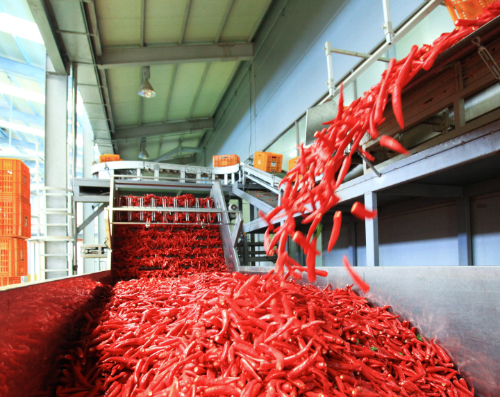 꾸미기_1-5 사진 (고추유통공사).jpg