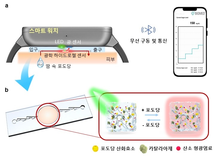 포스텍 당뇨기술개발.jpg